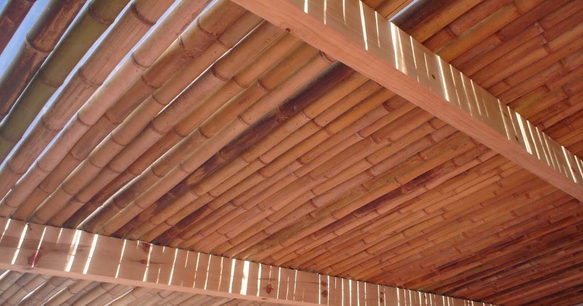 RODRIGUEZ NUMA ARQUITECTURA: Remodelacion de terraza y patio