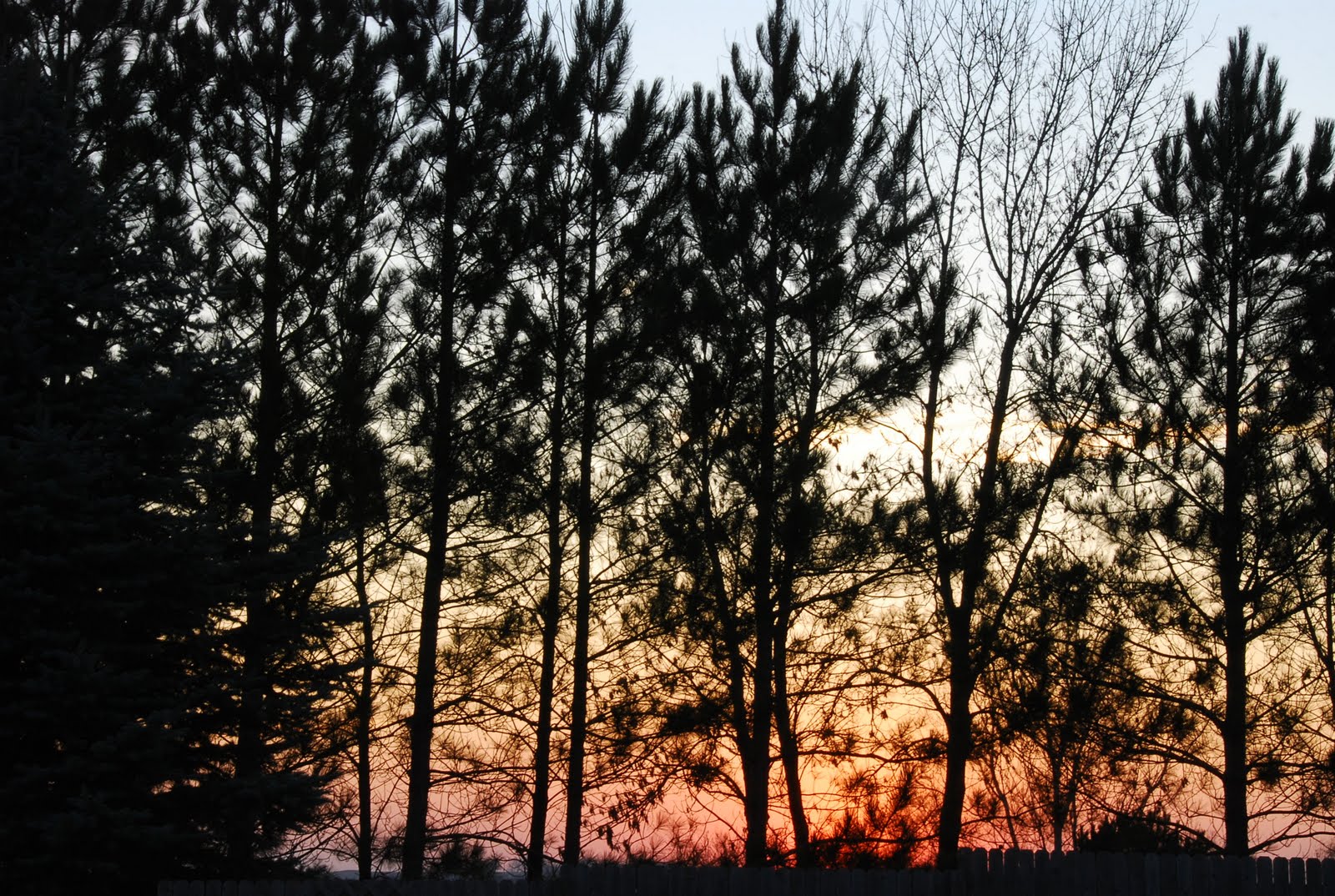 [DSC_0821.JPG]