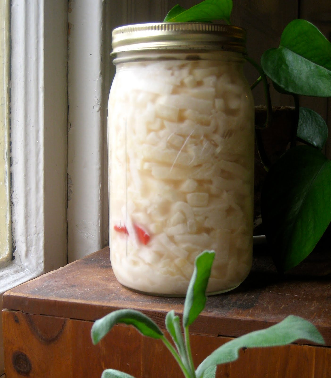 Paprika The Lost Art of Real Cooking (& LactoFermented Jicama Pickles)