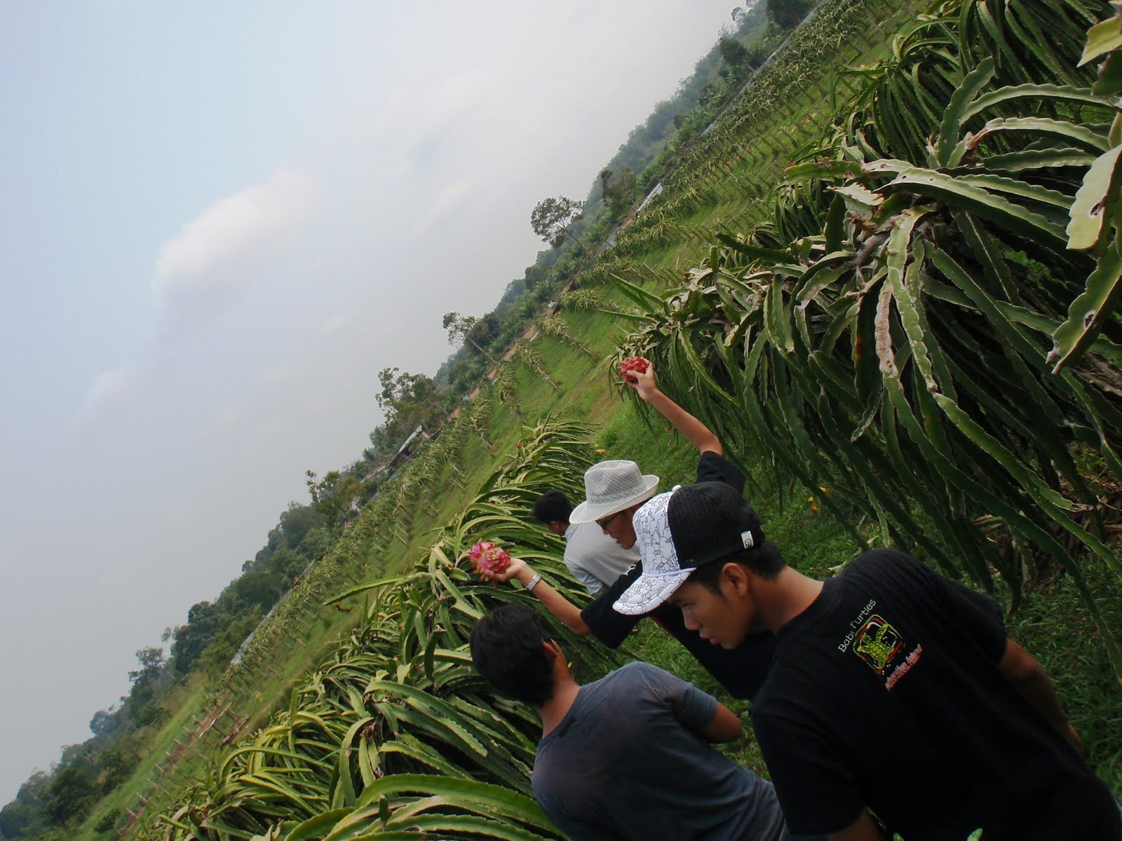 [P8150149.JPG]