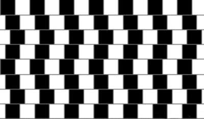[4004C_vis_lineas.jpg]