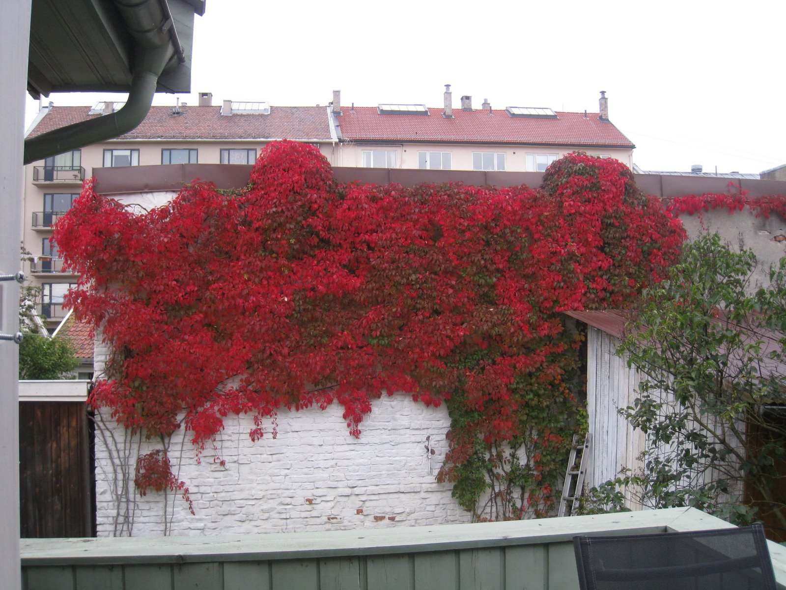 [IMG_7821[1]]
