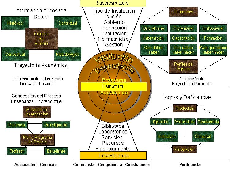 ORGANIGRAMA ACADÉMICO E INSTITUCIONAL