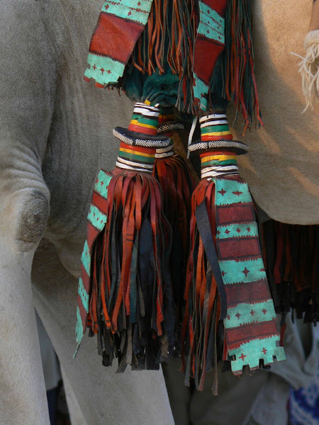 Decorations on a Camel Saddle
