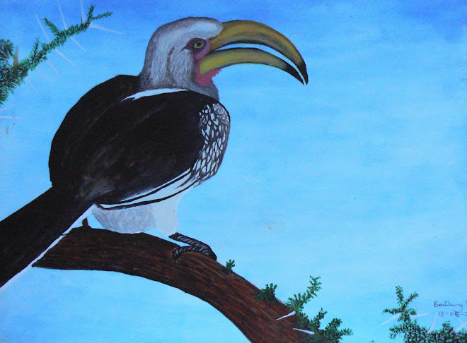 Hornbill