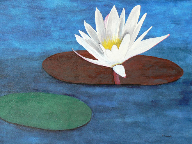 Water Lilly