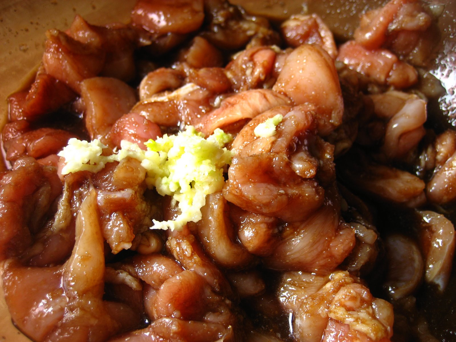 [skewered+chicken+005.JPG]