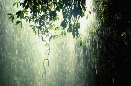 La récupération d'eau de pluie, une solution d'avenir
