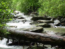 Smoky Mountain stream