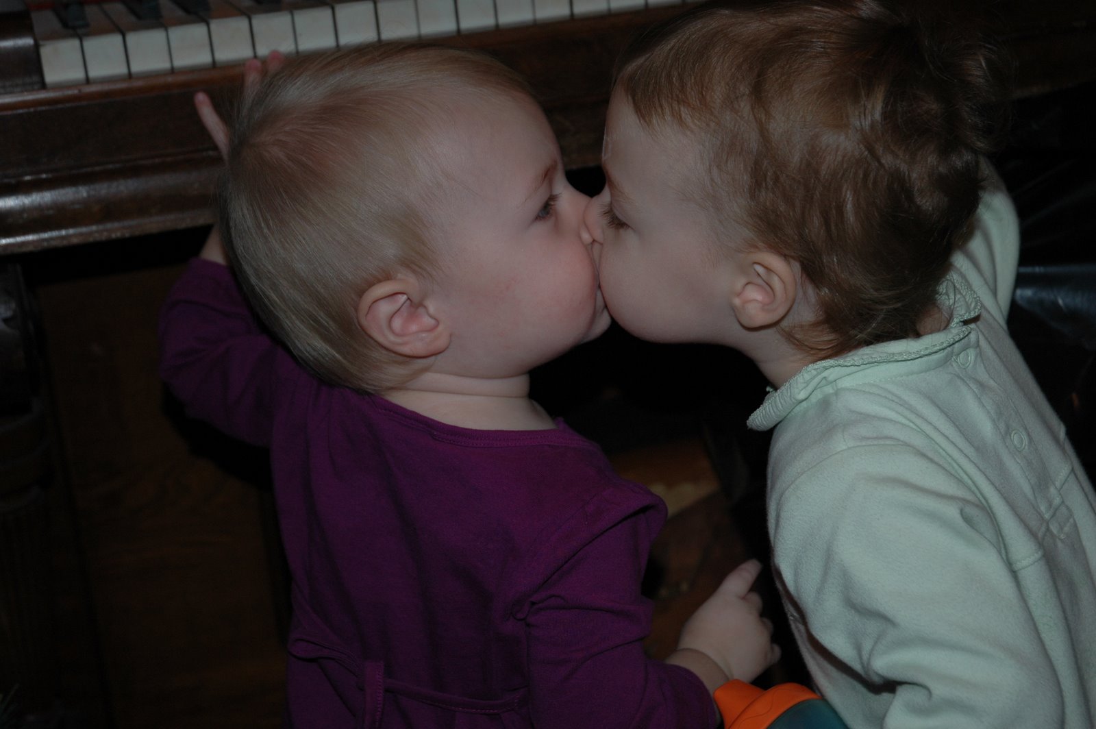 [DSC_6254.JPG]