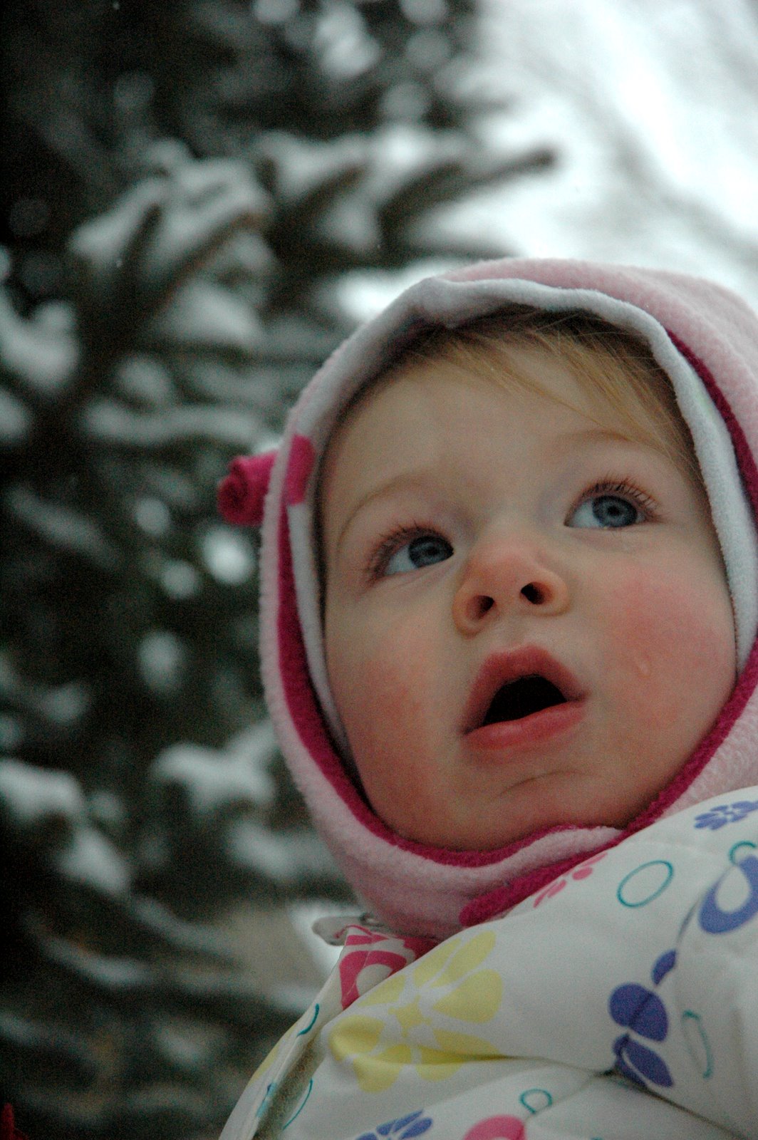 [DSC_7032.JPG]