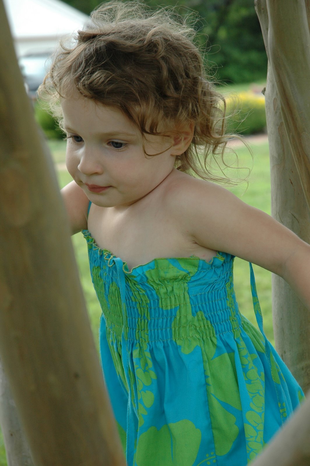 [DSC_9445.JPG]