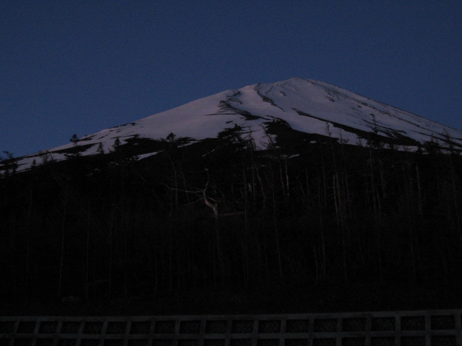 [IMG_1236.JPG]