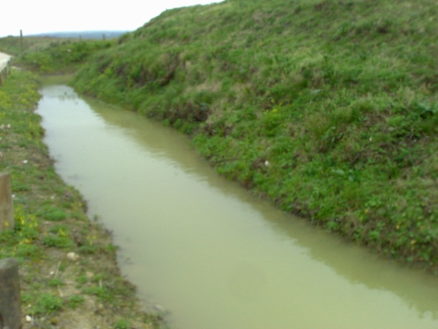 [FortePeq_20100306_01.jpg]