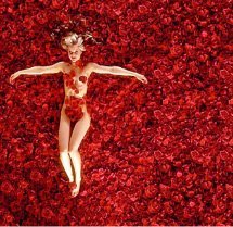 AMERICAN BEAUTY