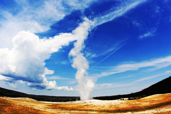 The Old Faithful geyser erupting midday at Yellowstone National Park.