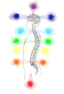 Ser Salud Ayesha : ¿Qué es un chakra?