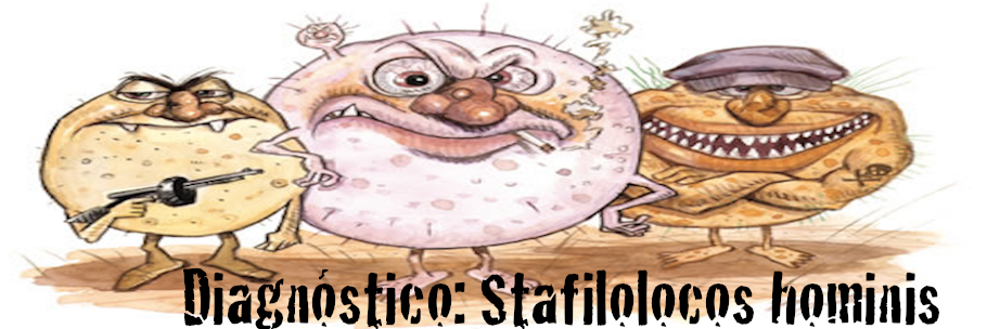 Diagnóstico: Stafilolocos hominis