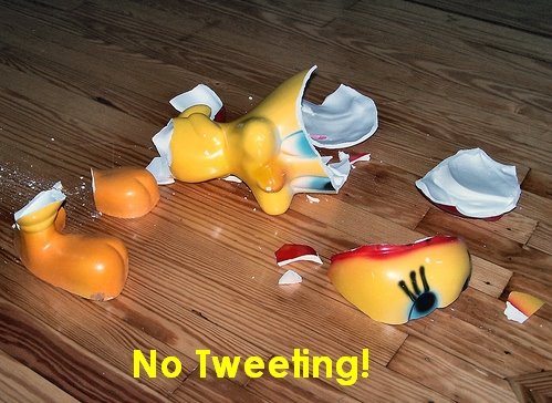 [tweety.jpg]