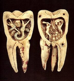 [dente.bmp]