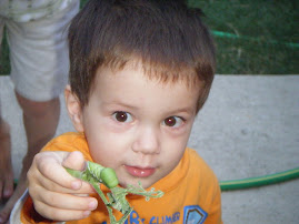 Ethan and the Very Hungry Caterpillar