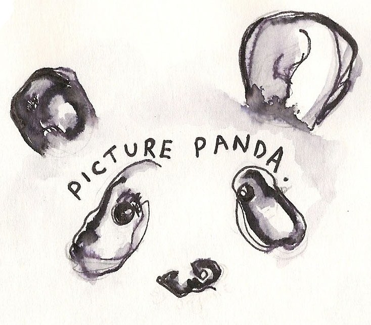 Pandas Sketch