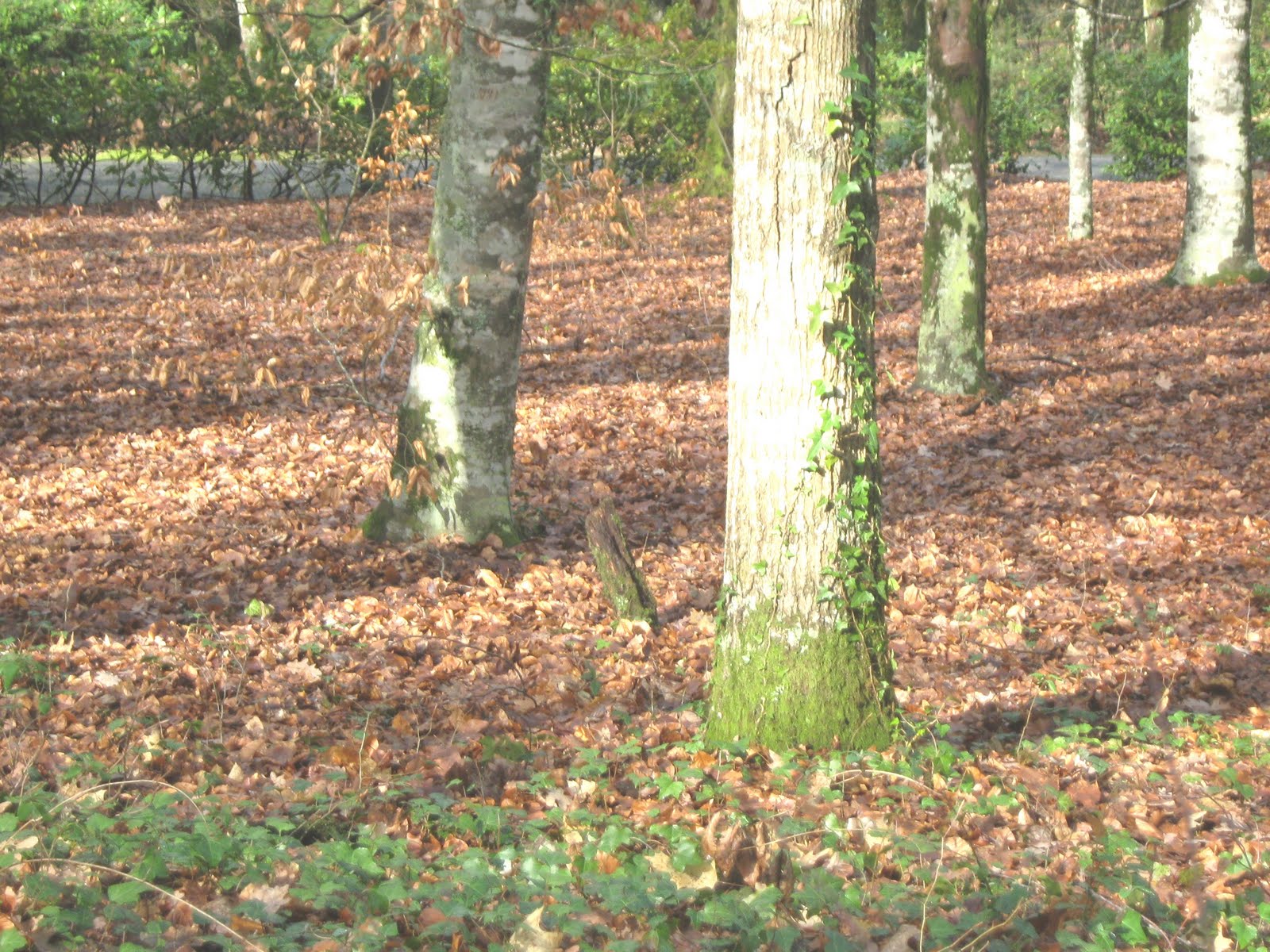 [IMG_3053.JPG]