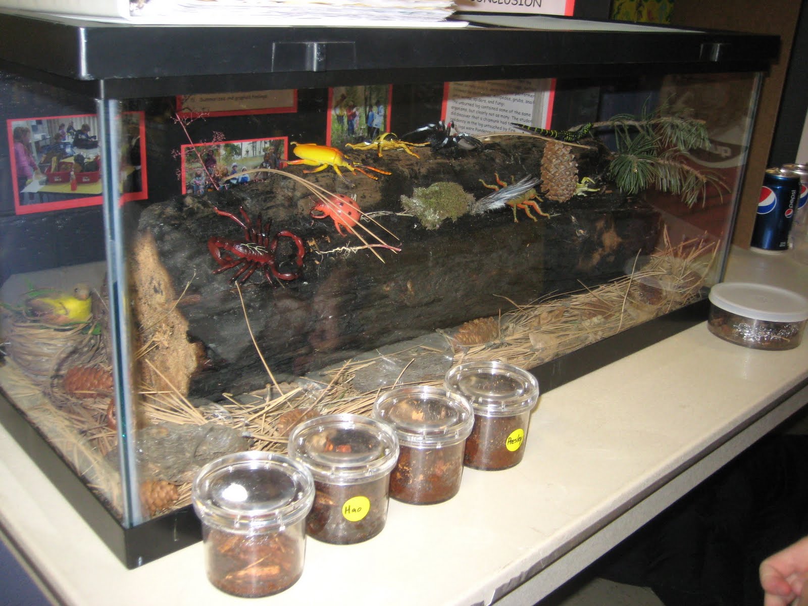 The Ovaskas: Critter Condos