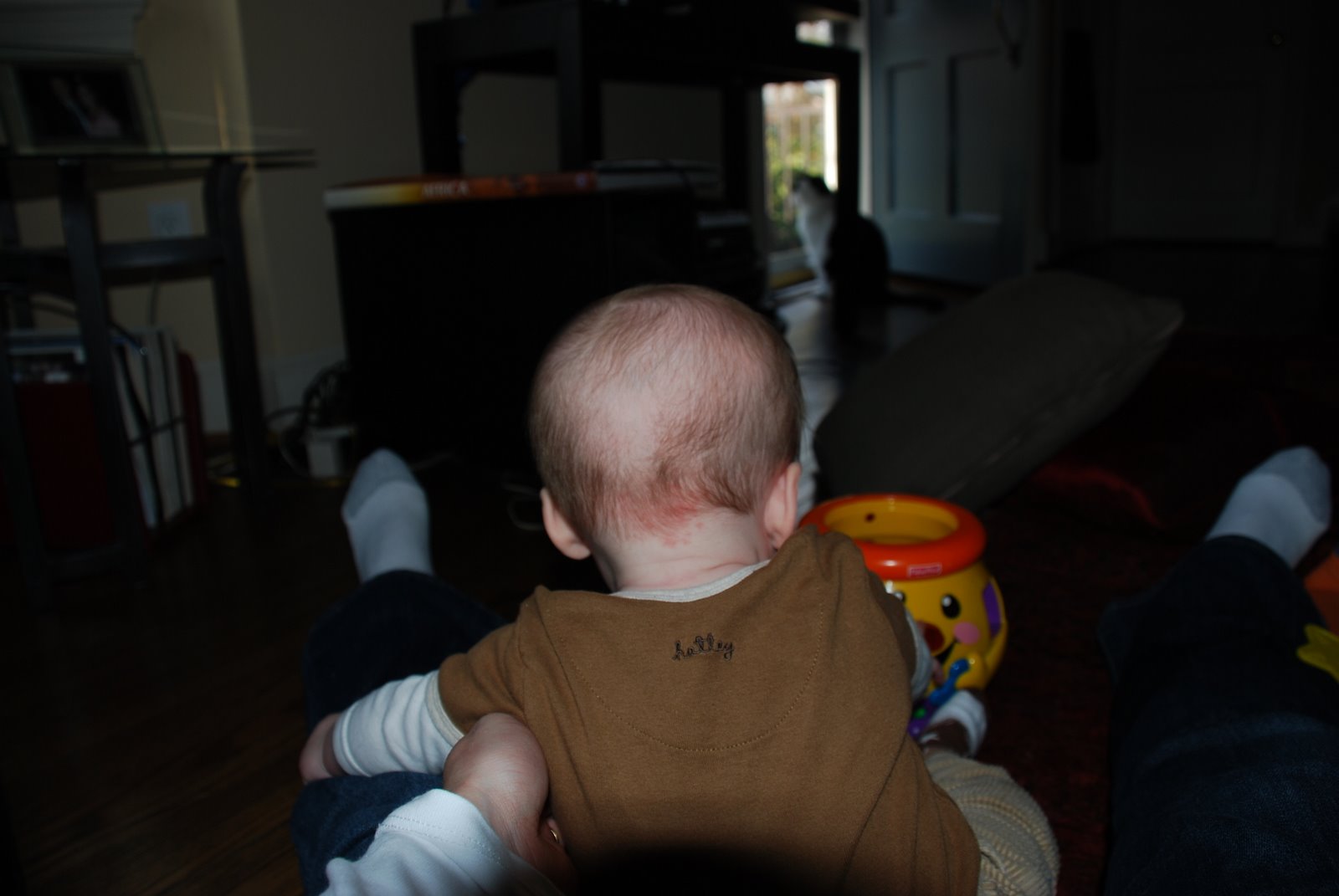 [DSC_0006.JPG]