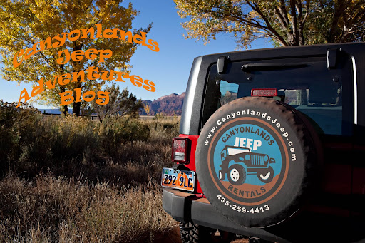 Jeep in Canyonlands