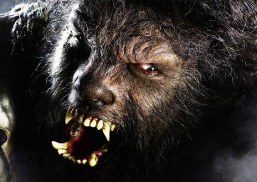 [the-wolfman.thumbnail.jpg]