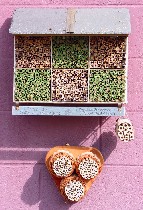 Mason Bee Home