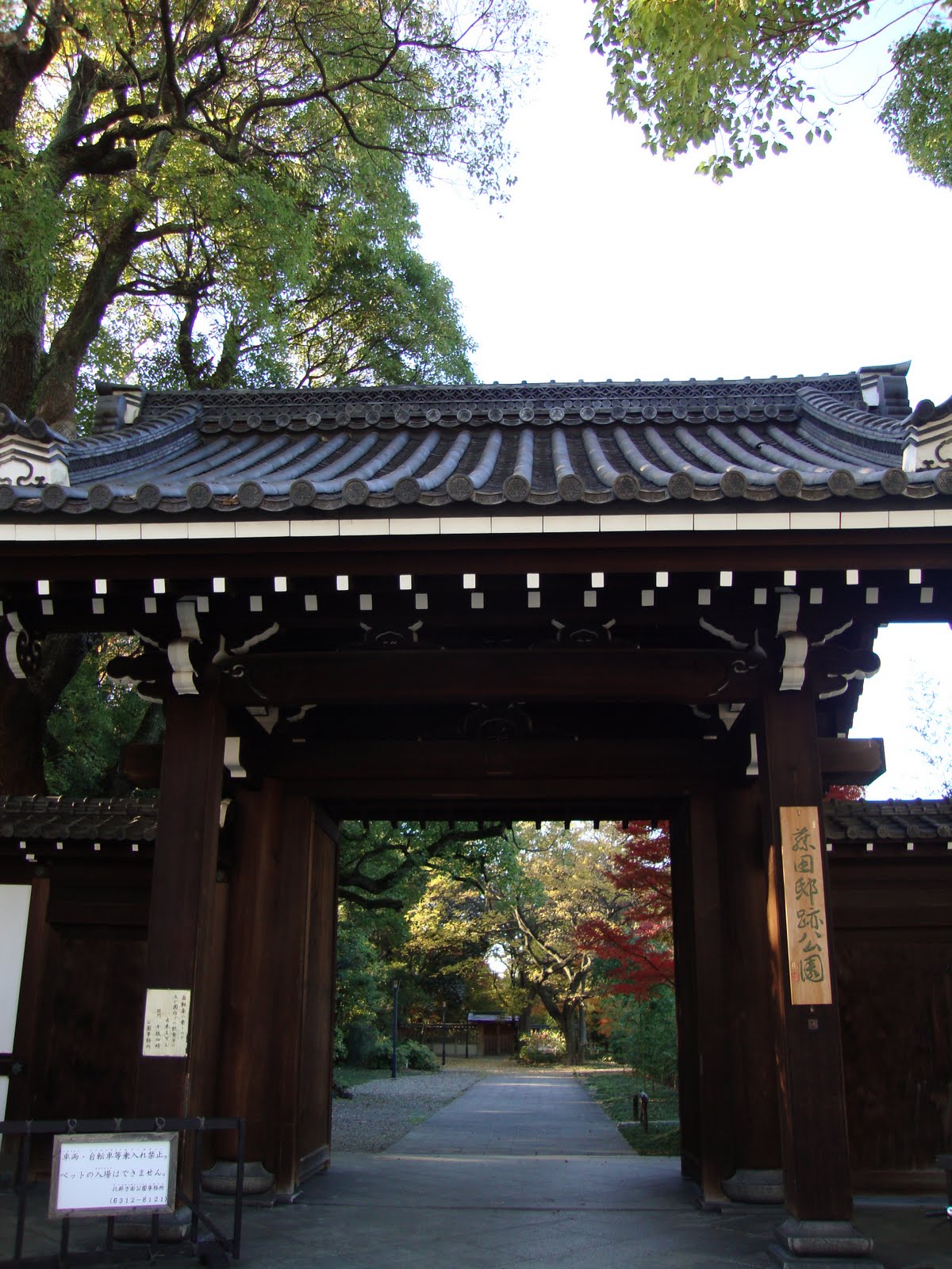 [DSC00361.JPG]