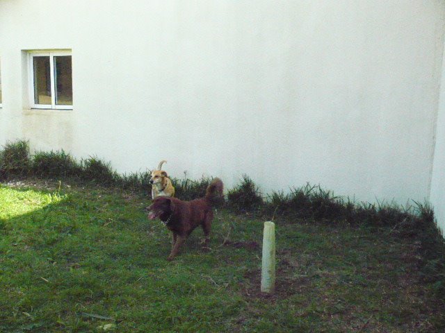 [P1000421.JPG]