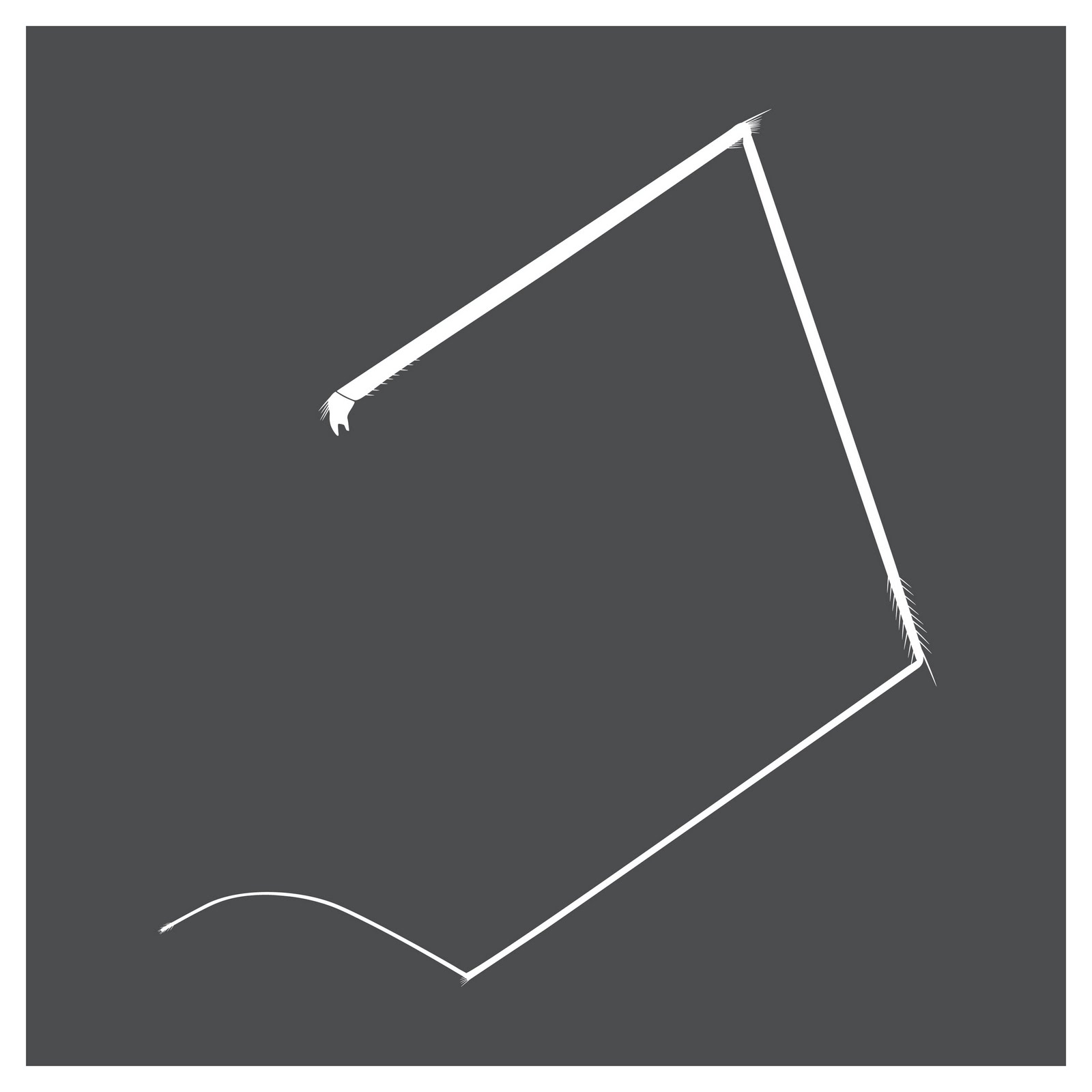 [Web_Extract_#1.jpg]