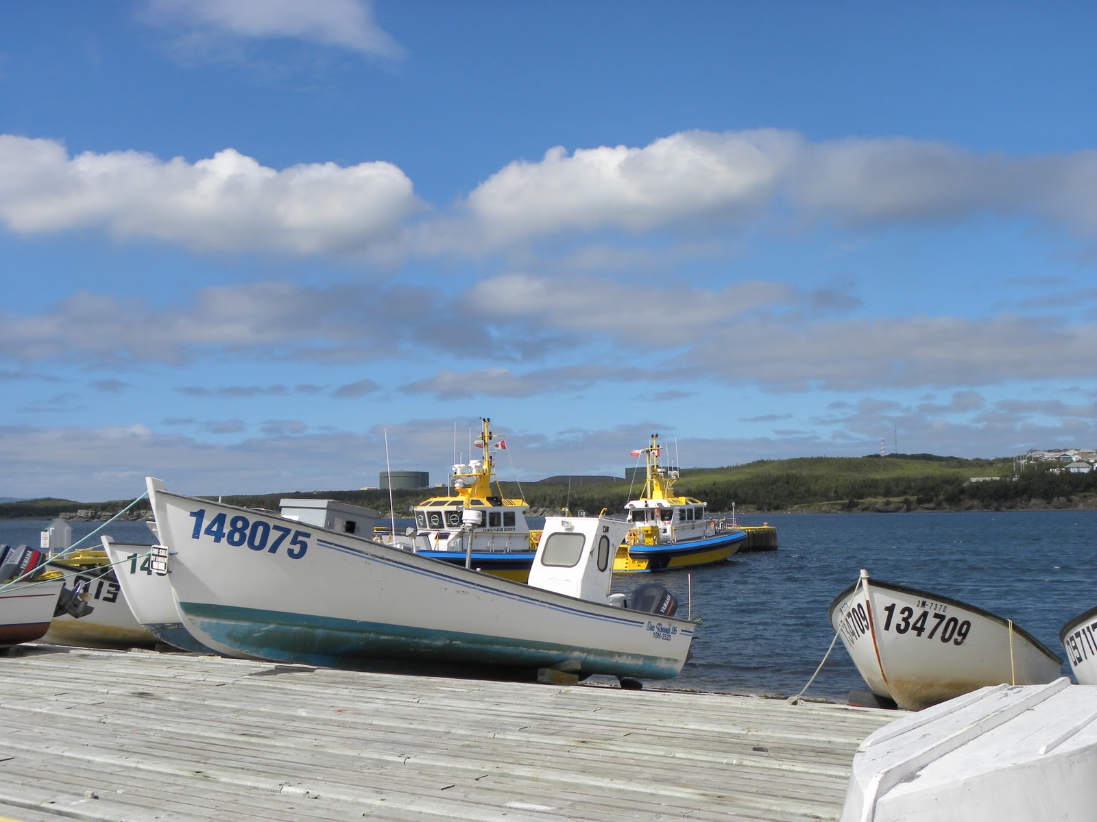 Newfoundland Journal Arnold's Cove Martha Horman