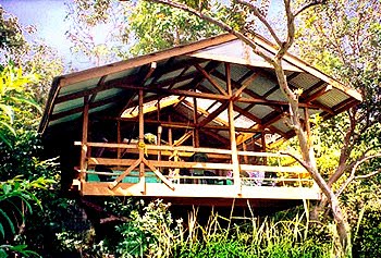 [treehouse.jpg]