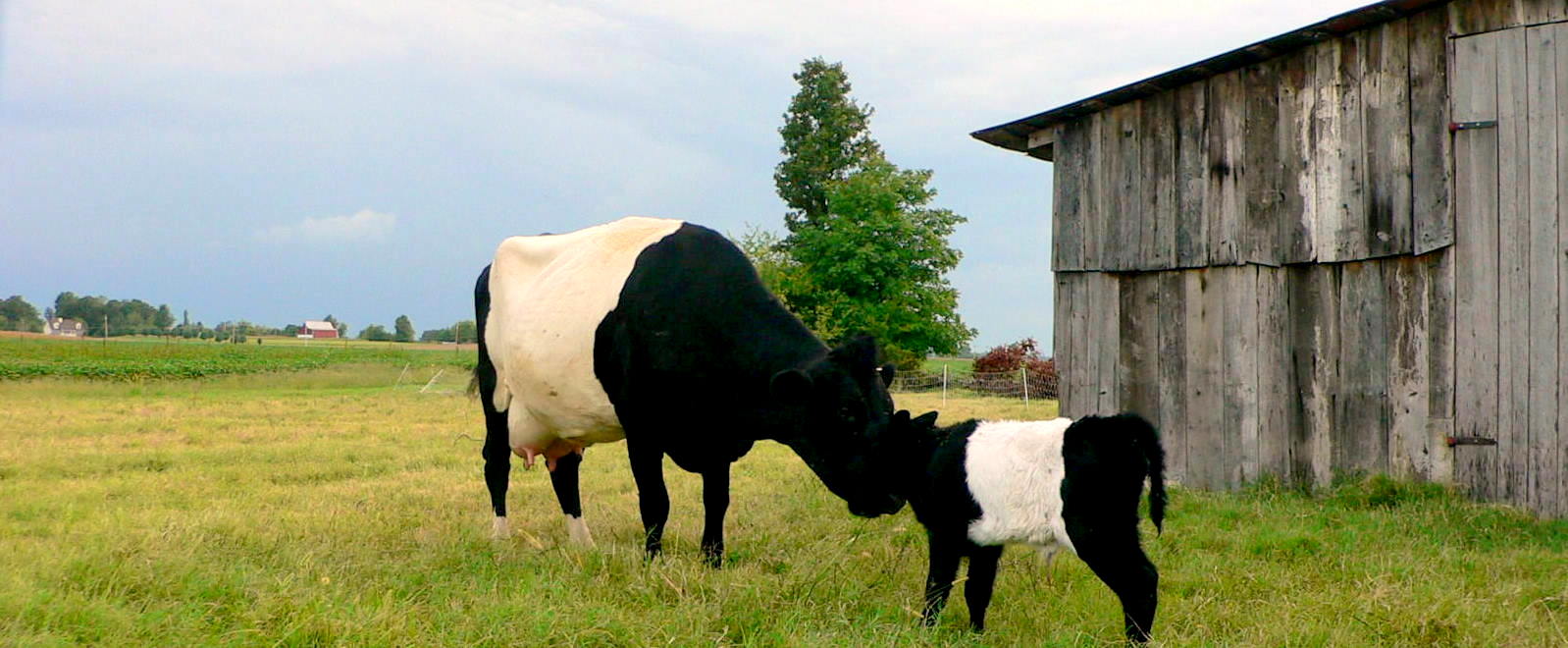 [arrabelle+standing.jpg]