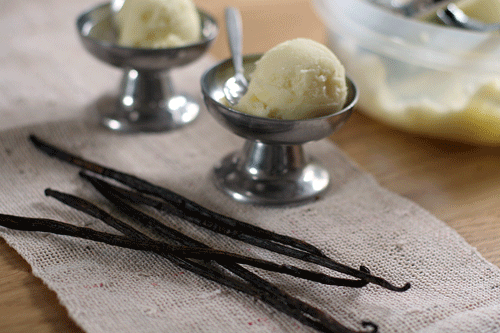 [vanilla+ice+cream.gif]