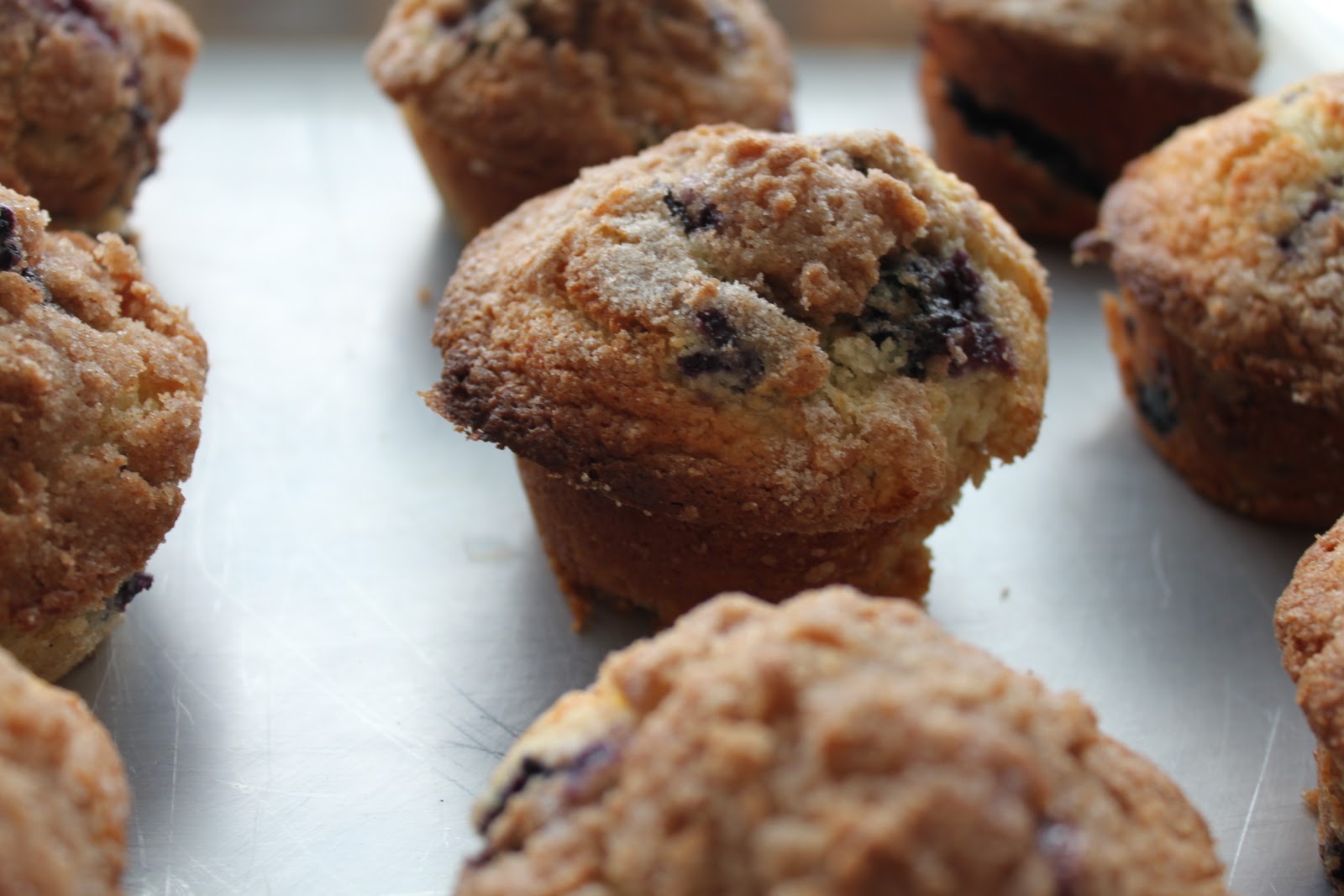 Basic Fruit Muffins with Streusel Topping A Bountiful Kitchen