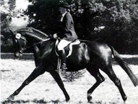 Http 1 Bp Blogspot Com Og Gtcj0gsi Tdx6ojnlc0i Aaaaaaaaafi Fn4zfaiene S1600 Page 2b7 2bphoto 2b3 Jpg Dream Horse Barns Barn Stables Dream Barn