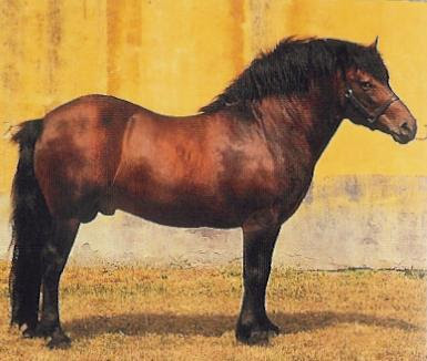 The Having A Farm Intending To Be More Lazy Thread Archive