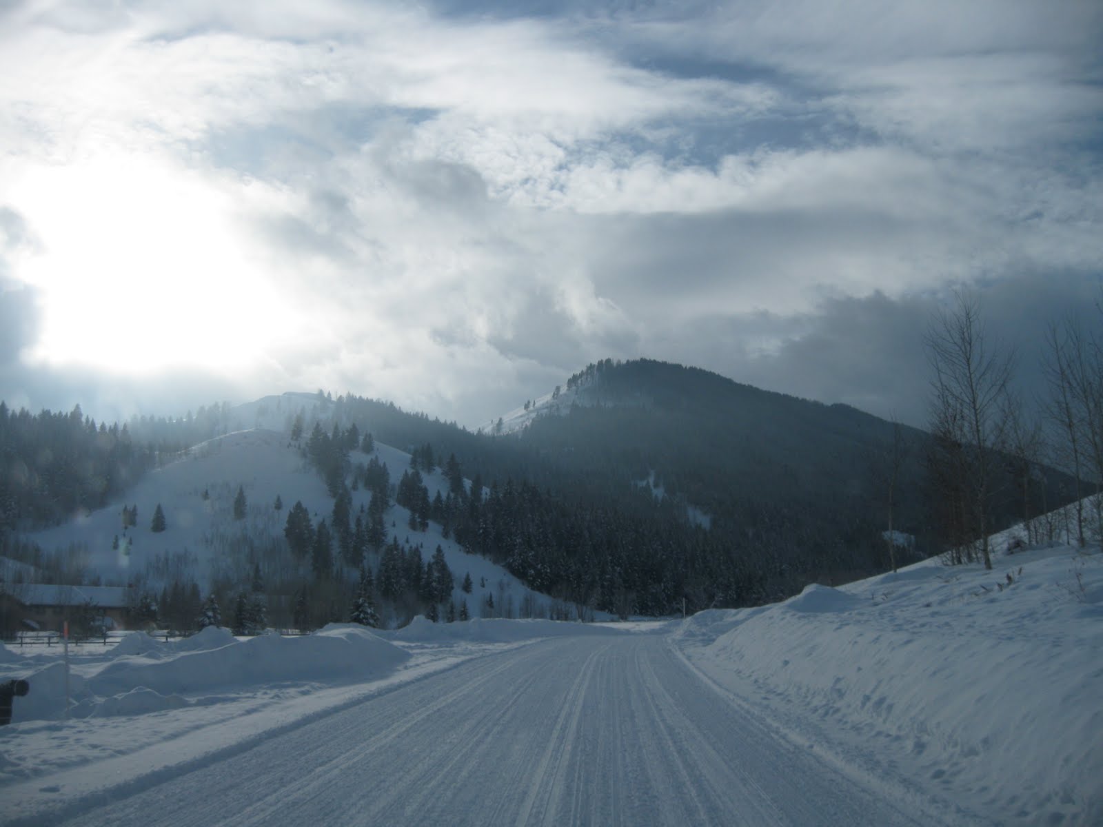 [IMG_2116.JPG]