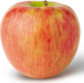 [honeycrisp2.jpg]