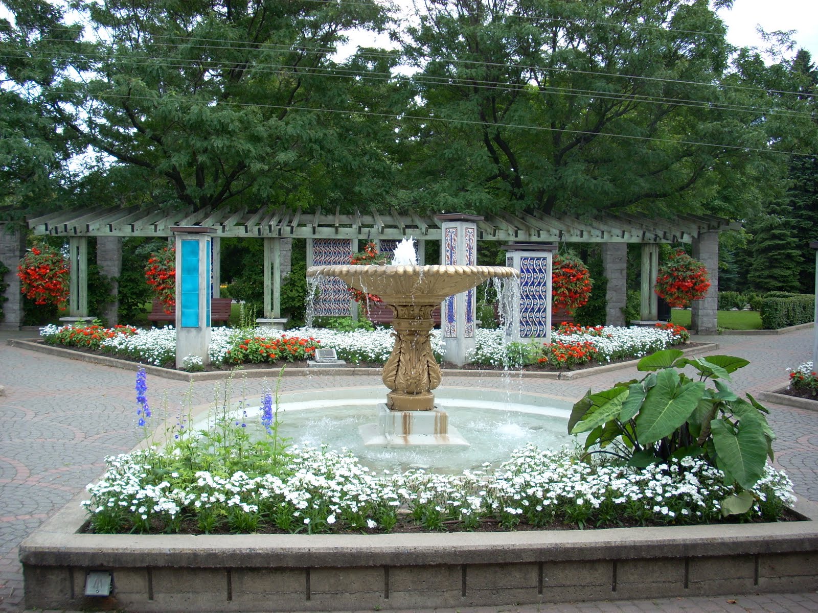 [DSCN2173.JPG]