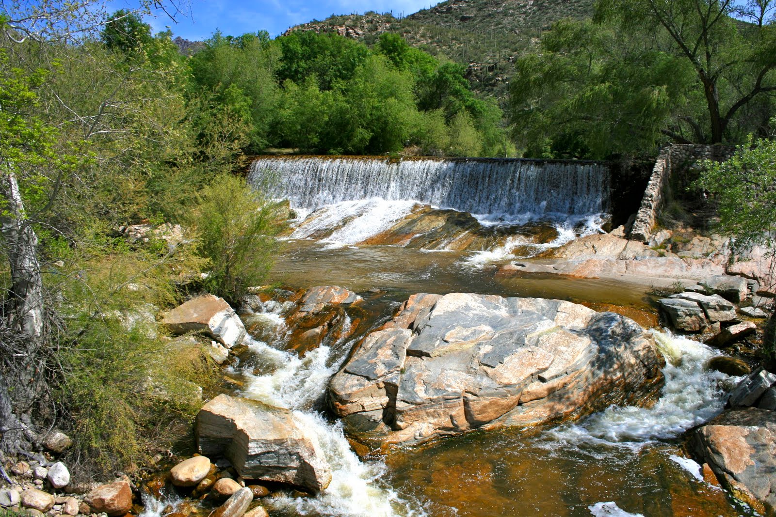 Sonoran Connection Lower Sabino Canyon
