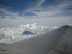 Mountain from Air