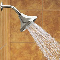 Install a Low-Flow Shower Head