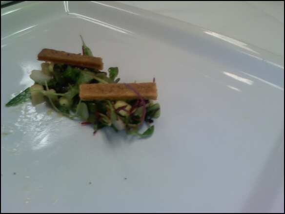 MicroGreens salad w/ raspberry vinaigrette