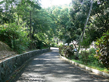 The  Walk Way To The Beach!